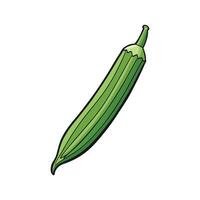 Clemson Spineless Okra on White Background vector