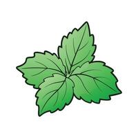 Bright Shiso on Clean White Background vector