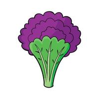Purple Kale Isolated on Clean White Background vector