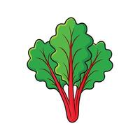 Bright Red Mustard Greens on Clean White Background vector