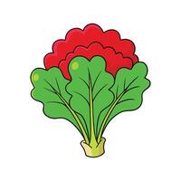 Red Mustard Greens on White Background vector