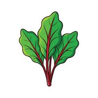 Bright Red Veined Sorrel on Clean White Surface vector