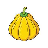 Patty Pan Squash Fresh on White Background vector