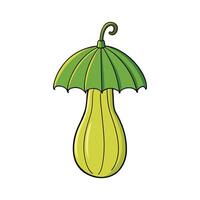 Vibrant Umbrella Gourd on White Background vector