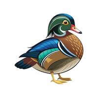 Wood Duck Bird Unique Artistic Design vector