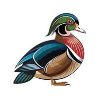 Artful Wood Duck Bird Representation vector