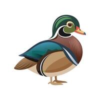 Vibrant Wood Duck Bird Artistic Design vector