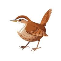 Wren Bird Unique Artistic Design Illustration vector