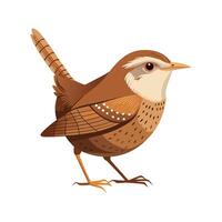 Vibrant Wren Bird Artistic Design vector