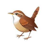 Wren Bird Beautiful Artistic Design Illustration vector