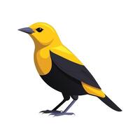 Artistic Representation of YellowHeaded Blackbird vector