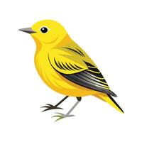 Yellow Warbler Beautiful Artistic Representation vector