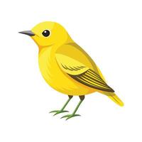 Yellow Warbler Unique Bird Design Illustration vector