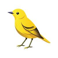 Vibrant Yellow Warbler Bird Artistic Design vector
