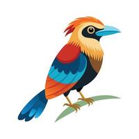Artistic of Amazonian Motmot vector