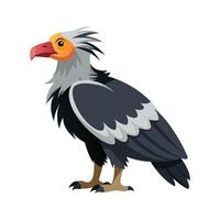 Charming of Andean Condor vector