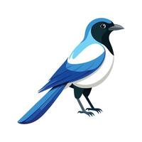 Stylish AzureWinged Magpie vector