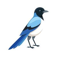 Unique AzureWinged Magpie Artwork vector