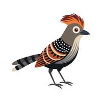 Elegant Barred Antshrike Bird Illustration vector