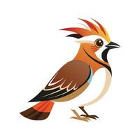 Unique Bohemian Waxwing Bird Artwork vector