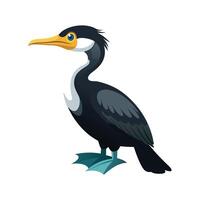 Charming Brandts Cormorant Bird Illustration vector