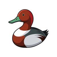 Stylish Canvasback Bird Art vector