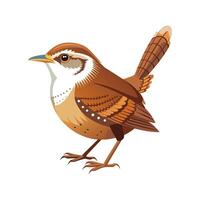 Charming Carolina Wren Art vector