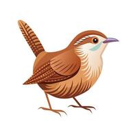 Elegant Carolina Wren Artwork vector
