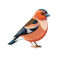 Stylish Chaffinch Bird Design vector