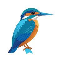 Vibrant Common Kingfisher Artwork vector