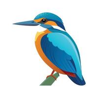 Stylish Illustration of Common Kingfisher vector