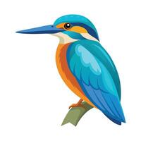 Charming Common Kingfisher Bird Graphic vector