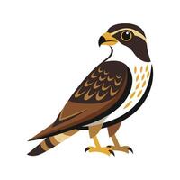 Charming Illustration of Common Nighthawk vector