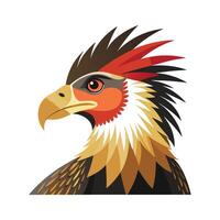 Stylish Crested Caracara vector