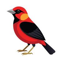 Stylish Illustration of CrimsonCollared Tanager vector