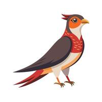Charming Illustration of Cuckoo Bird vector