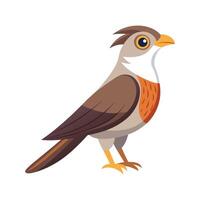 Elegant Cuckoo Bird Artwork vector