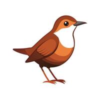 Unique Artwork of Dipper Bird vector