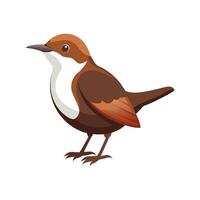 Charming Dipper Bird Artwork vector