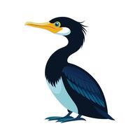 Majestic DoubleCrested Cormorant vector