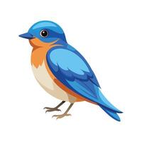 Unique Artwork of Eastern Bluebird vector