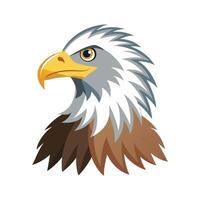 Charming Illustration of Eagle vector