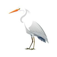 Elegant Realistic Egret Artwork vector
