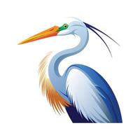 Elegant Realistic Egret Design vector
