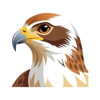 Unique Ferruginous Hawk Bird Artwork vector