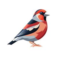 Unique Artwork of Finch Bird vector