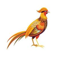 Elegant Golden Pheasant Bird Graphic vector