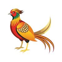 Unique Artwork of Golden Pheasant vector