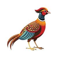 Stylish Illustration of Great Argus Pheasant vector