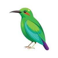 Unique Green Honeycreeper Bird Artwork vector